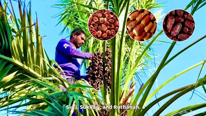 تصوير جوي درون وأرضي بأسعار مغرية 39