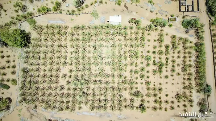 تصوير جوي درون وأرضي بأسعار مغرية 31