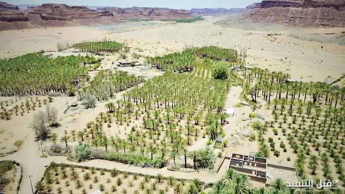 تصوير جوي درون وأرضي بأسعار مغرية 29