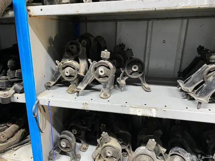 قطع عضلات رافور 11