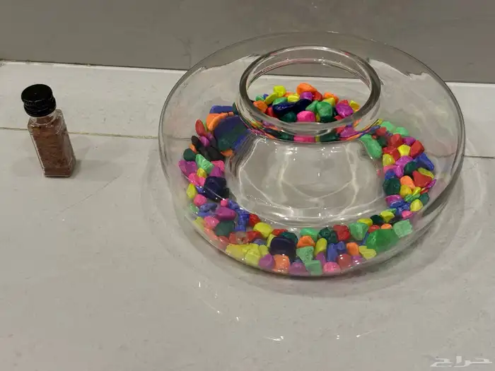 حوض سمكة و اكل سمك 0