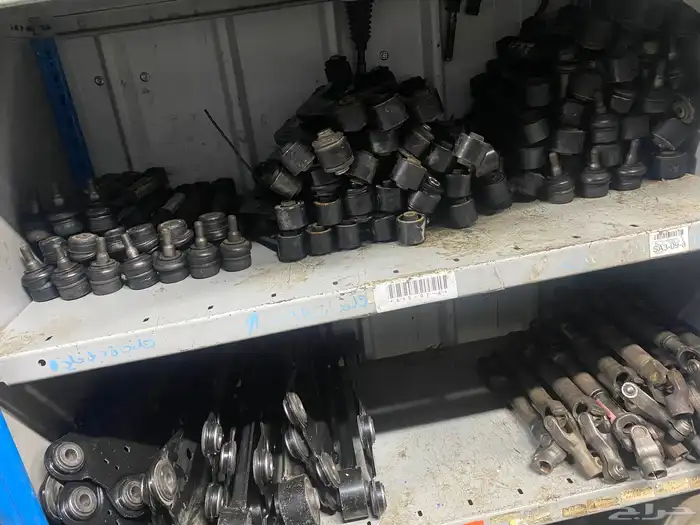 قطع عضلات رافور 2