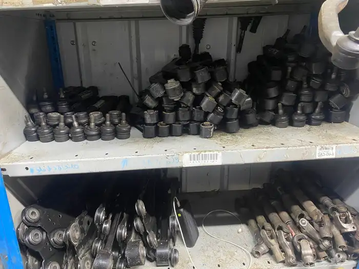 قطع عضلات رافور 3