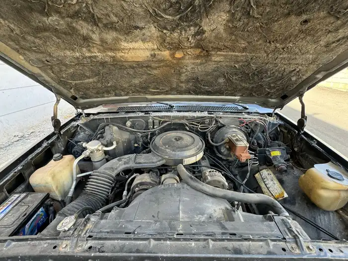 سوبربان 1989 دبل صنف الصنف 48