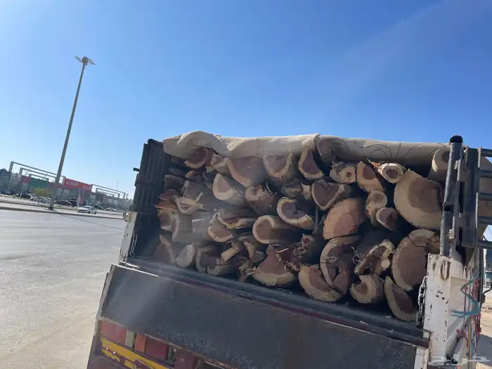 حطب سمر المدينه 6