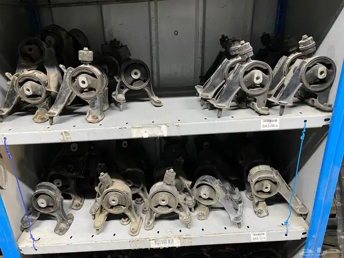 قطع عضلات رافور 10