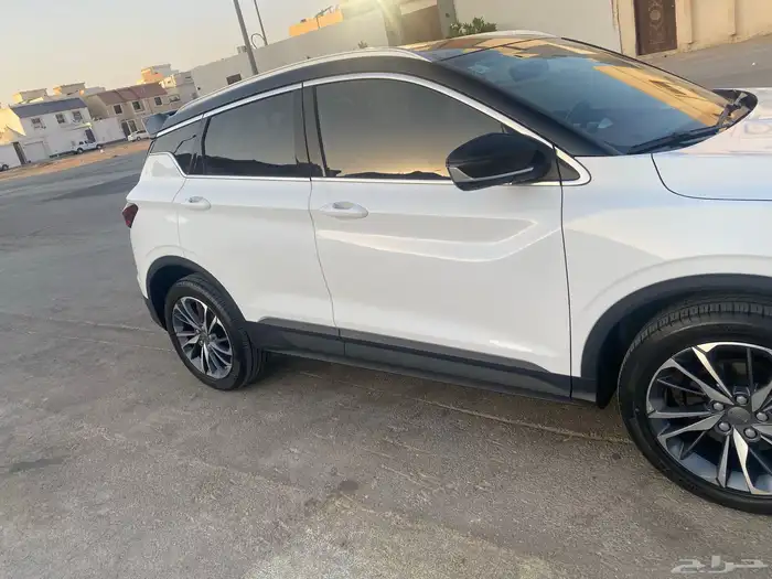 جيلي كواراي 17