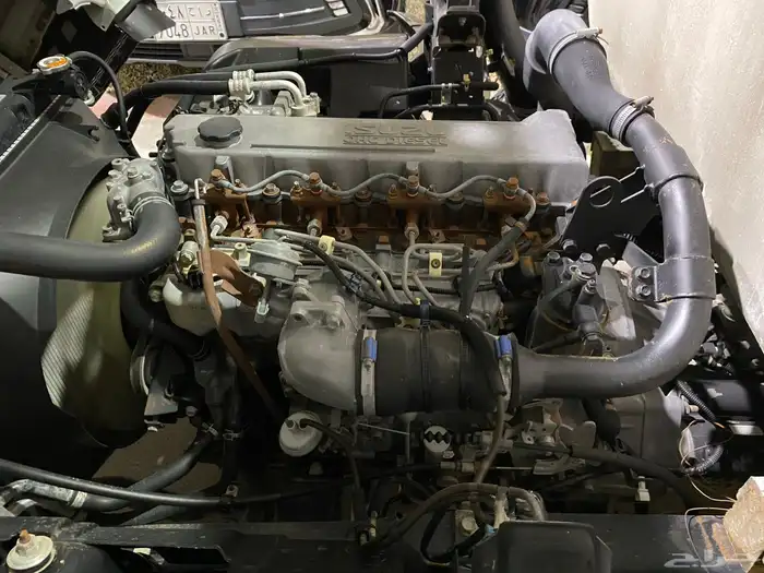 دينا ايسوزو وايت ماء 2017 9