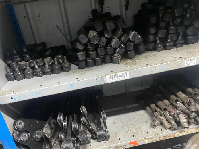 قطع عضلات رافور 1