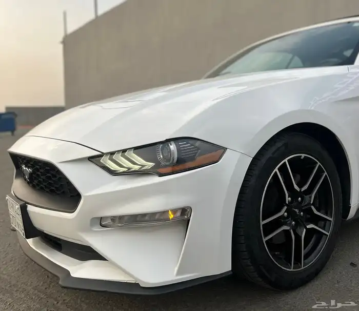 موستنق 2019 ايكوبوست وكالة 12