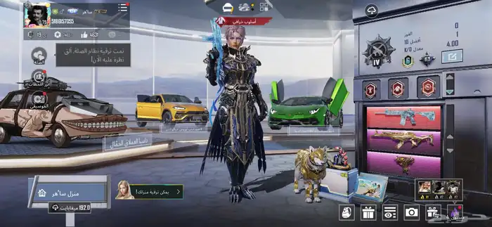 حساب ببجي للبيع 2