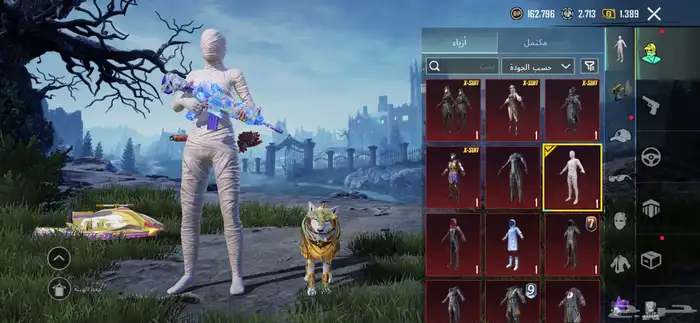 حساب ببجي للبيع 5