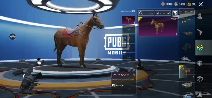 حساب ببجي 26