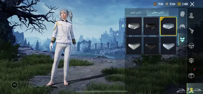 حساب ببجي للبيع 17
