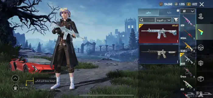 حساب ببجي للبيع 12