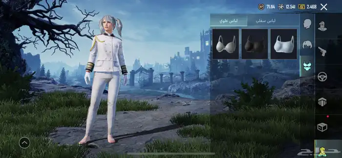 حساب ببجي للبيع 16