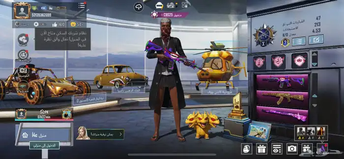 حساب ببجي العالميه 0