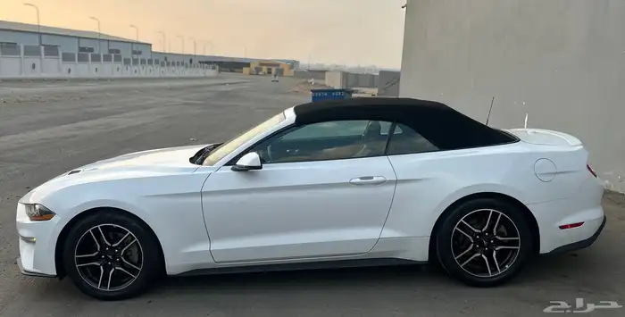 موستنق 2019 ايكوبوست وكالة 10