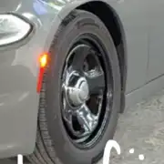 جنوط بوليسي دوج 0