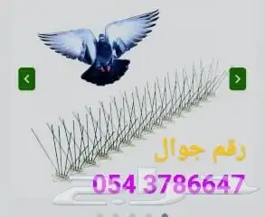 شركه تركيب طارد الحمام و طارد الطيور 7