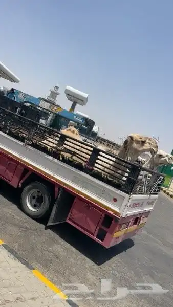 دنا هيدروليك 0