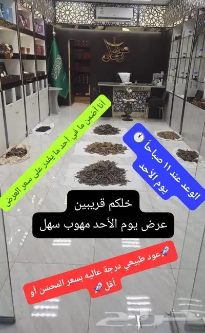 عرررض خيال 0