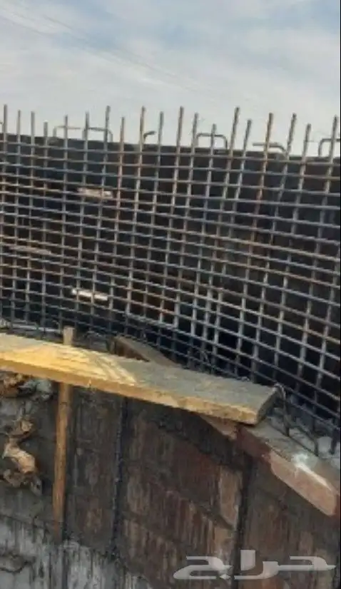 ب ل ه   يو ا  امري 2019 1