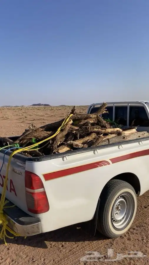 حطب طلح فوق مسحه الصندوق 0