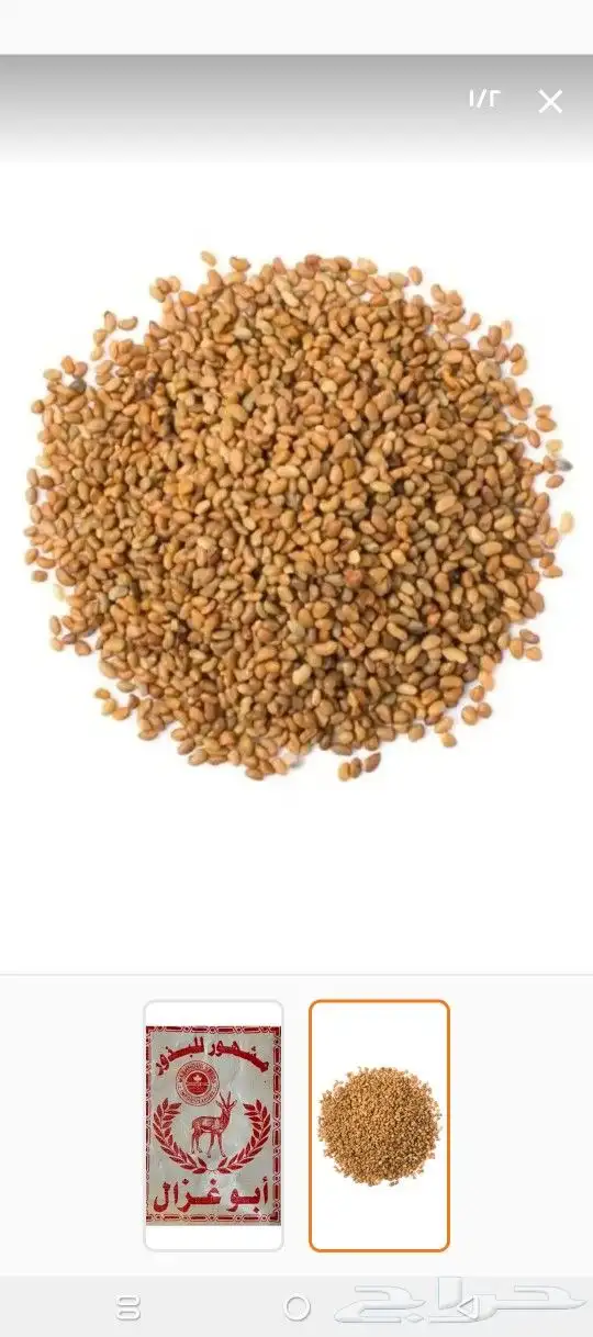 بذور برسيم ابو غزالة 0