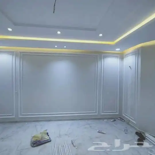 دهانات وديكورات منازل راقيه 0