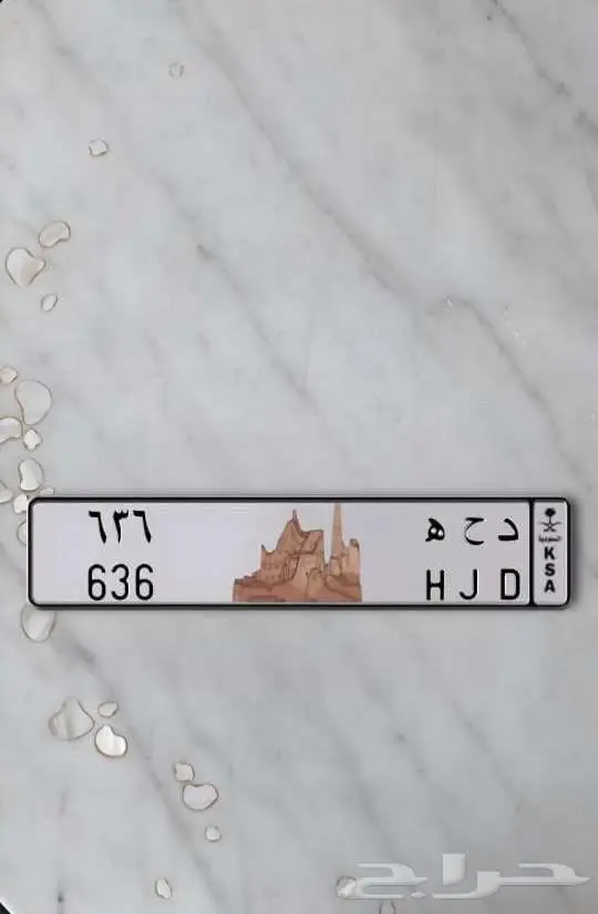 لوحه مميزه للبيع 0