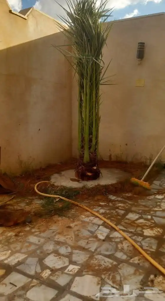 ابو علي لتوريد انخيل 0