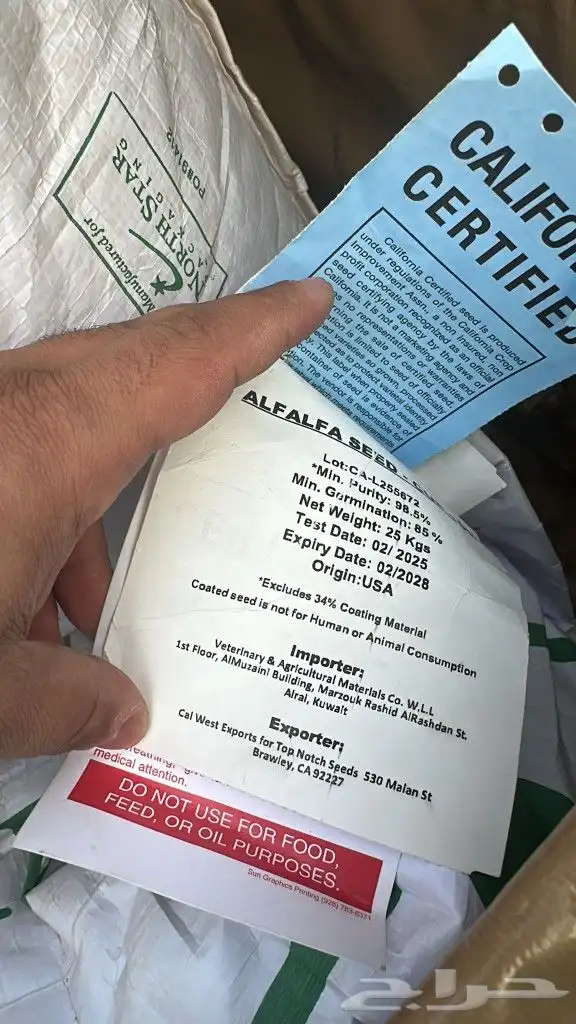 بذور برسيم امريكي كاف 101 1