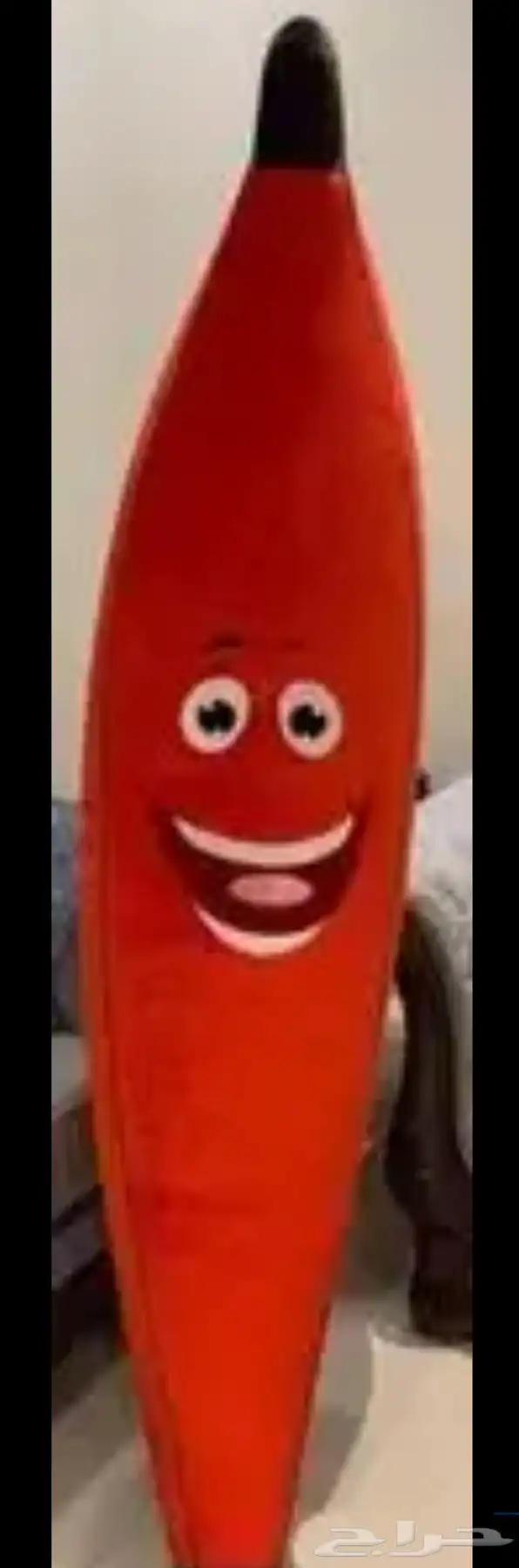 موزه اصليه البيع مستعجل 0