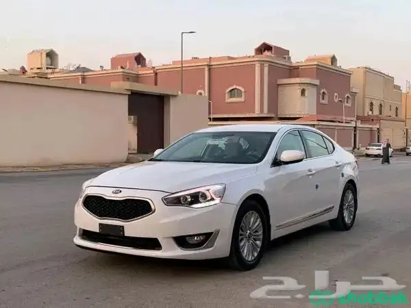 مطلوب كادينزا خليجي 2014 2015 2016 0