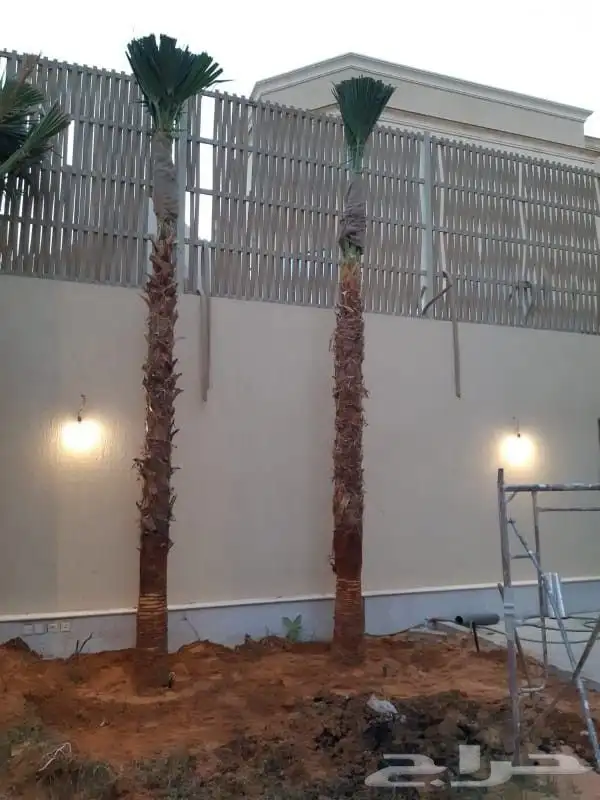 مقاول شبوك ونخيل 5