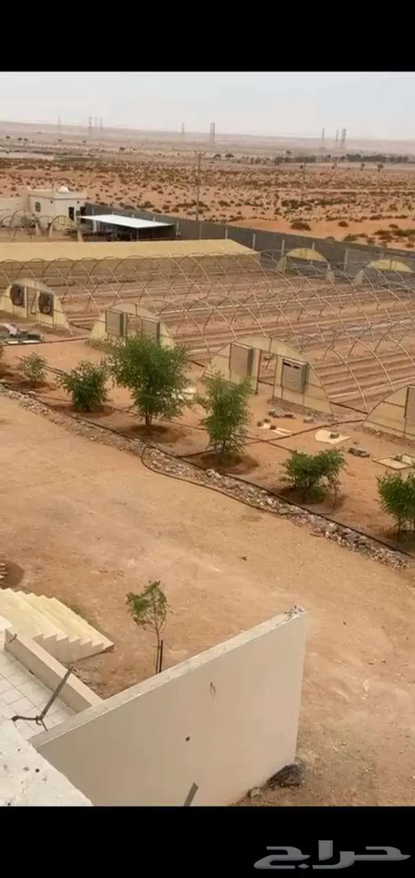 أرض زراعية للبيع في هجرة العليا بمحافظة ضرما 0
