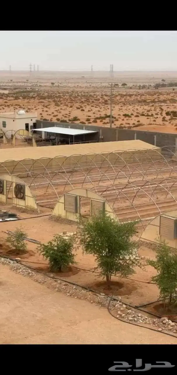 أرض زراعية للبيع في هجرة العليا بمحافظة ضرما 6