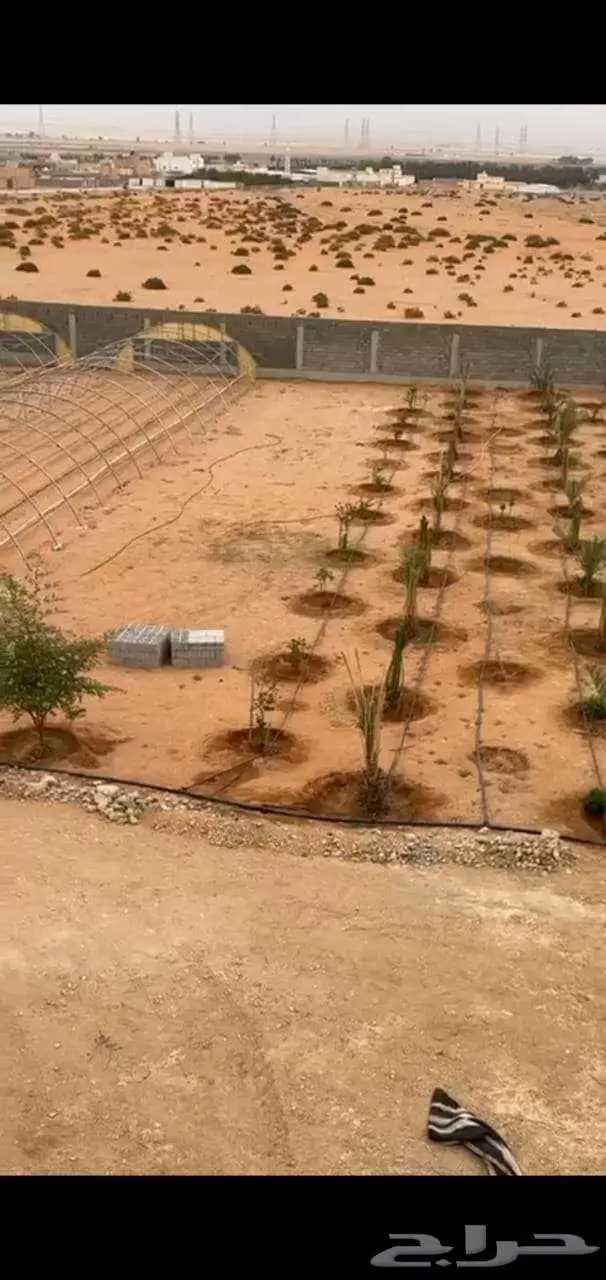أرض زراعية للبيع في هجرة العليا بمحافظة ضرما 8