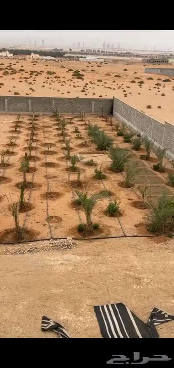 أرض زراعية للبيع في هجرة العليا بمحافظة ضرما 11