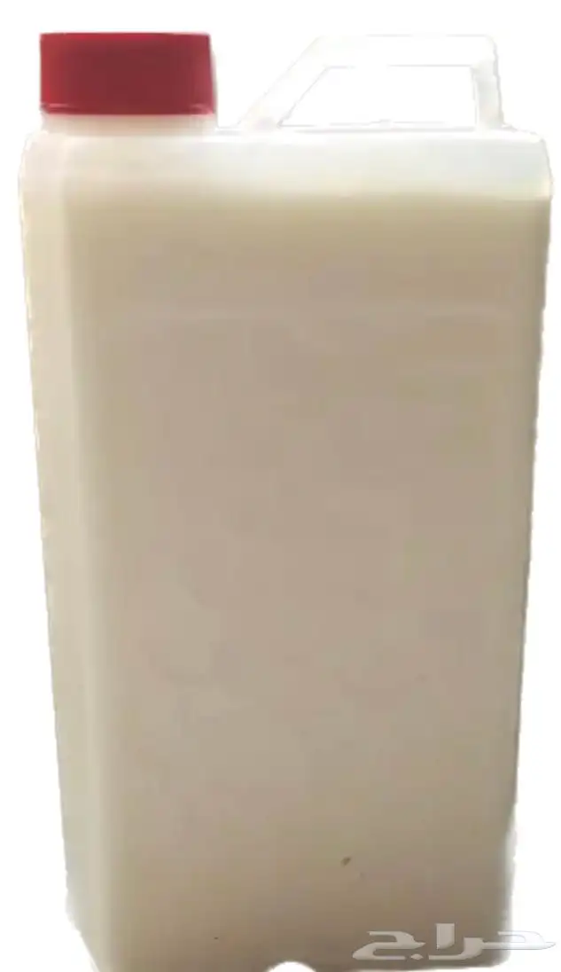 لبن معزاء ولبن بقر معقم ونظيف 1