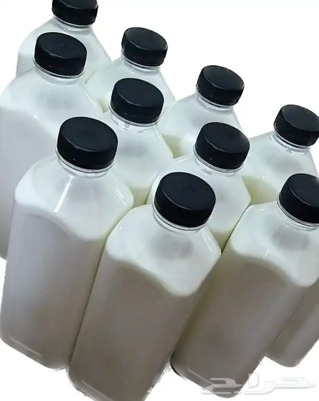 لبن معزاء ولبن بقر معقم ونظيف 0