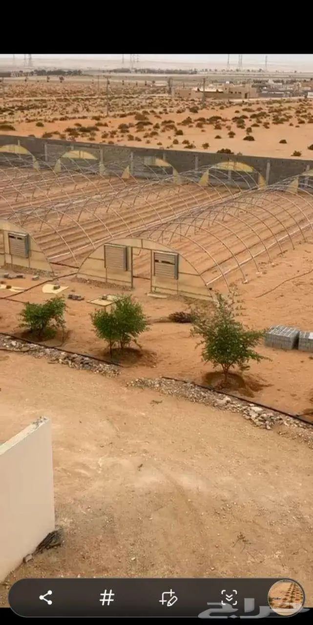 أرض زراعية للبيع في هجرة العليا بمحافظة ضرما 7