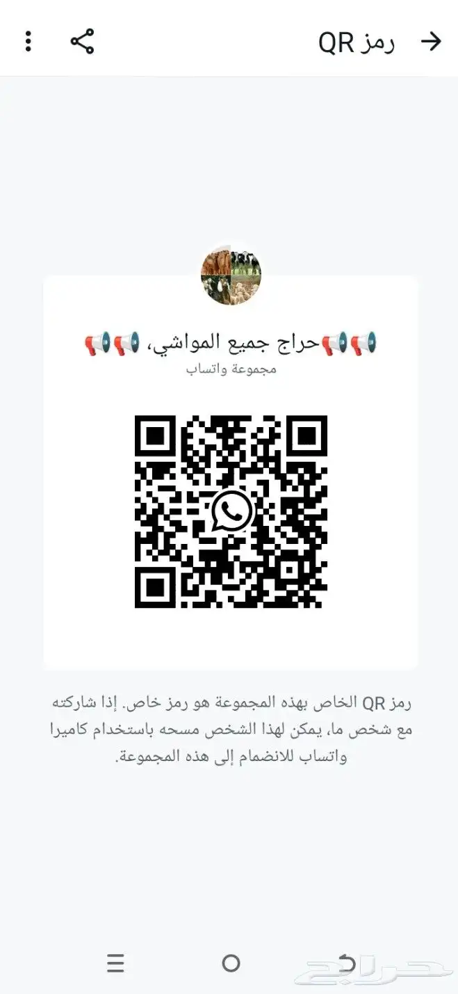 للبيع قروب موشي اتوصل خاص 1