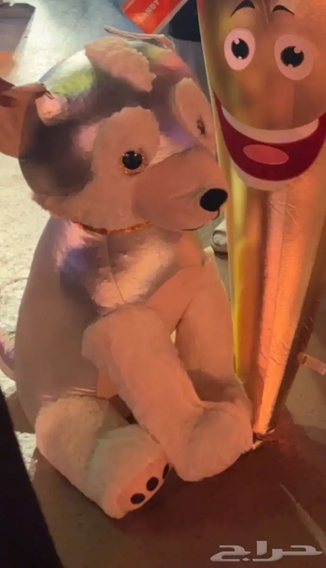 دبدوب الستي ووك الكبير 0