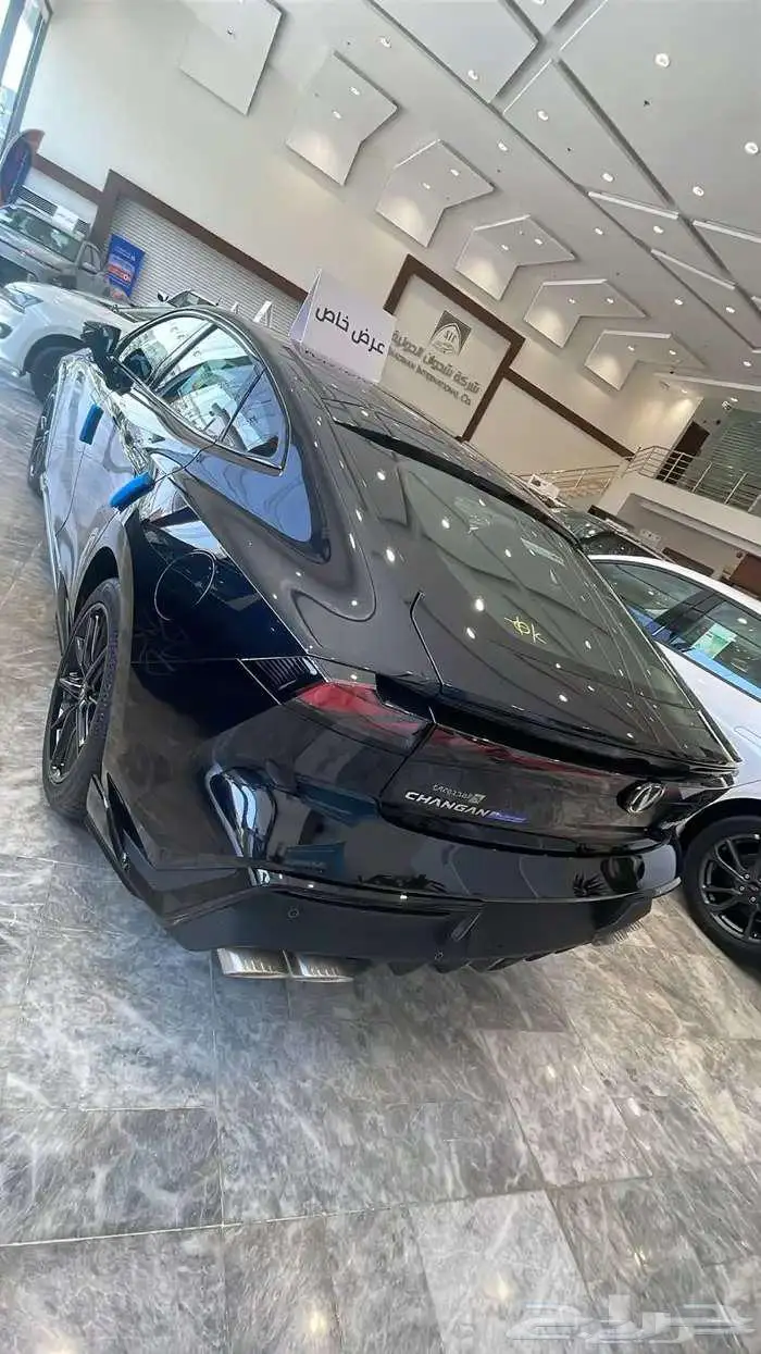 شانجان 3