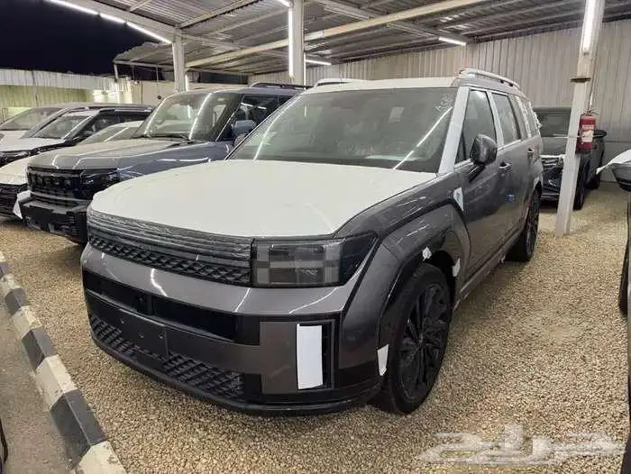 سنتافي 2024 كالجرافي و سمارت و كاليجراف كاش واقساط 2