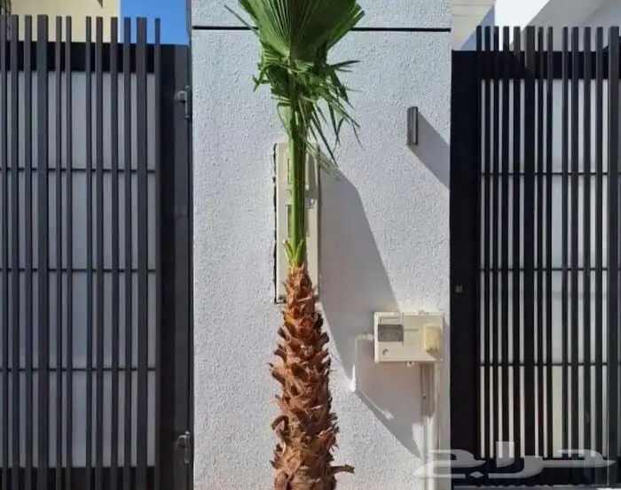 تنسيق الحدائق المنزلية وتركيب العشب الصناعي 12