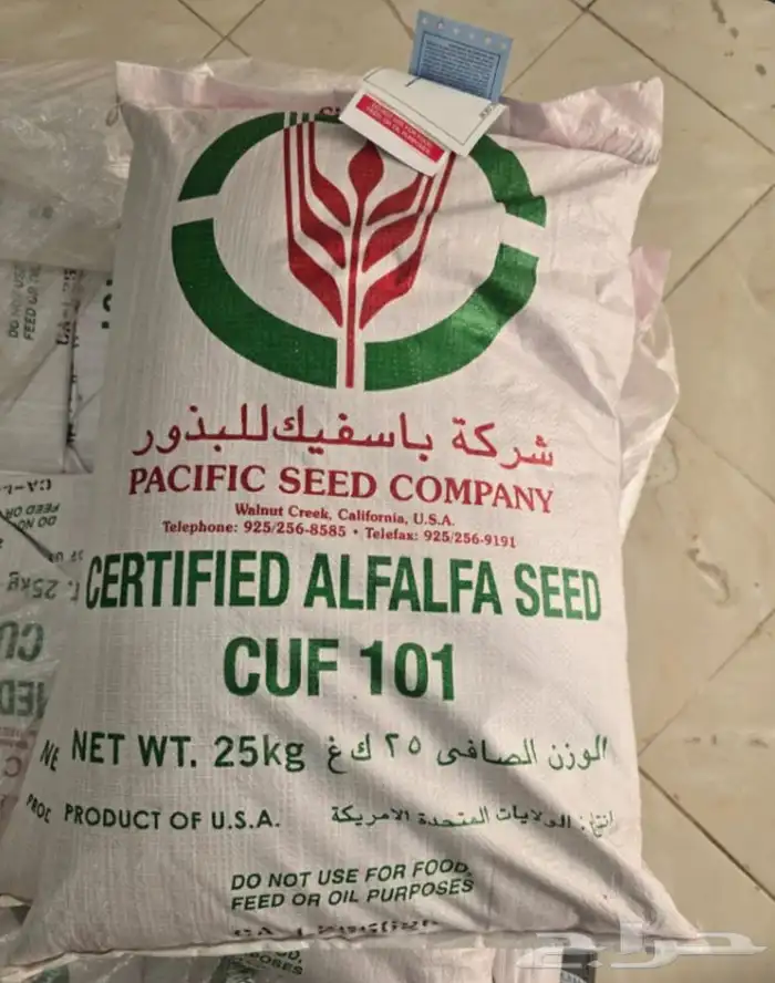 بذور برسيم باسيفيك alfalfa seeds pacific CUF 101 0