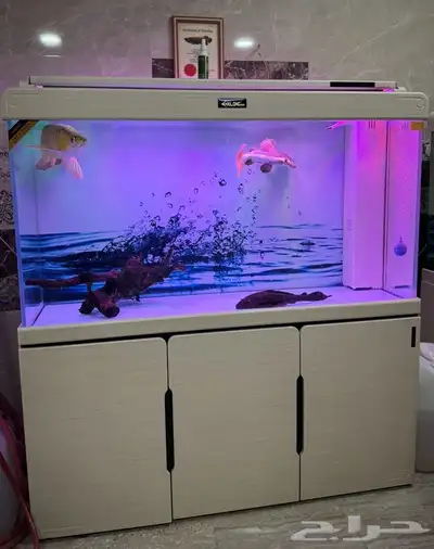 حوض اسماك زينه 0